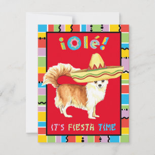 Invitation Chat long Fiesta Chihuahua