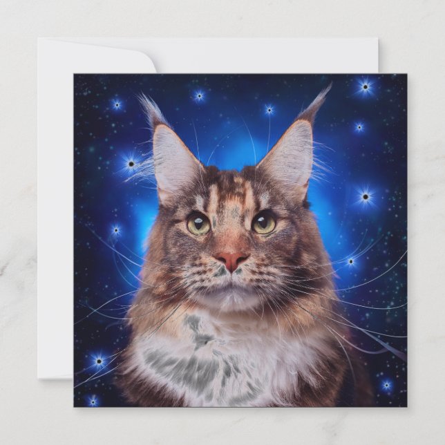 Invitation Chat Maine Coon Fond Bleu Étoiles (Devant)
