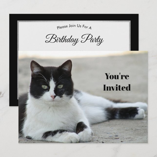 Invitation Chat noir et blanc Tuxedo photo Anniversaire (Devant / Derrière)