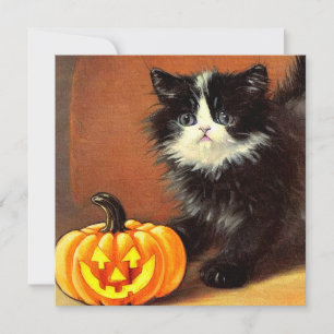 Invitation Chaton d'Halloween noir et blanc vintage
