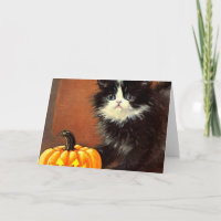 Chaton d'Halloween noir et blanc vintage