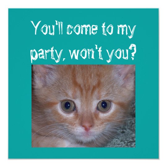 Invitation Chaton Mignon Fete D Anniversaire De L Enfant Zazzle Fr Invitation Chaton Mignon Fete D Anniversaire De L Enfant Zazzle Fr