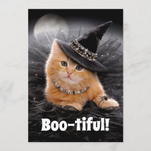 Invitation Chaton sorcier glamour