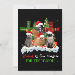 Invitation Chats Jésus Est La Raison De La Saison Noël Vilain