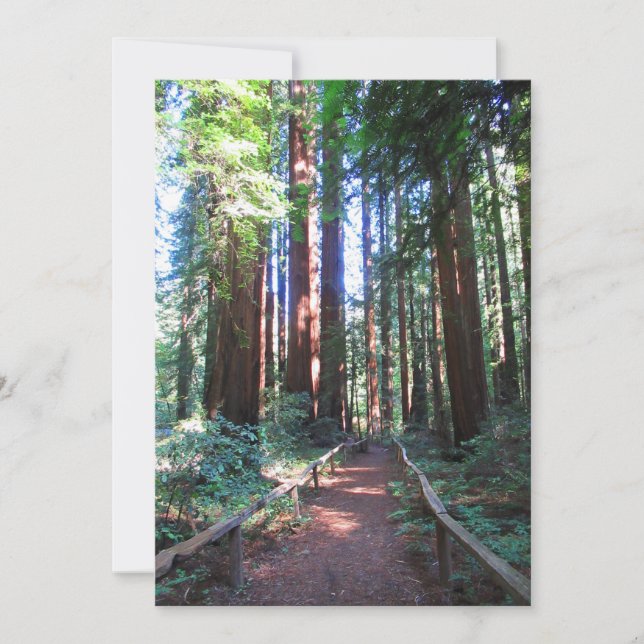Invitation Chemin Redwood Nord-Californie (Devant)