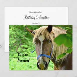 Invitation Cheval Brown Belge Brouillon Photo Anniversaire
