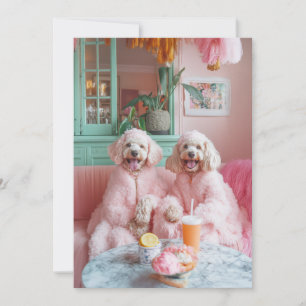 Invitation Chic Labradooda dans Pink Lounge