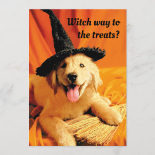 Invitation Chien avec chapeau de sorcière et balai