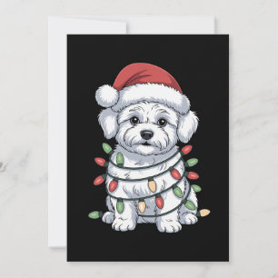 Invitation Chien Bichon Frise Noël Chapeau de Père Noël Lumiè