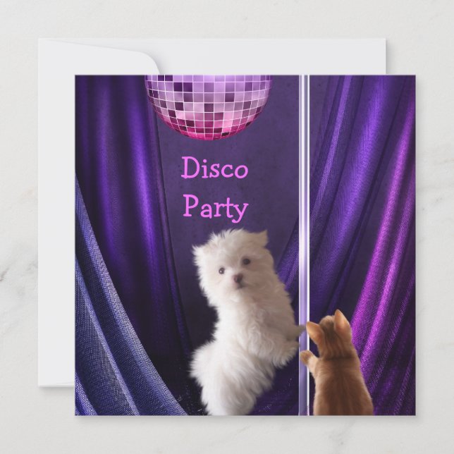Invitation Chien Chat Disco Maltese Enterrement de Vie de Jeu (Devant)