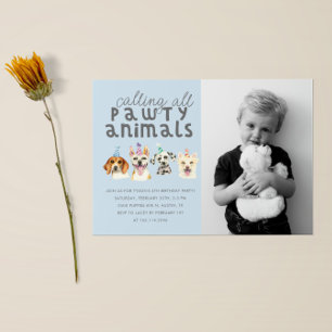 Invitation Chien Chien Chien Fête Animaux Anniversaire Photo