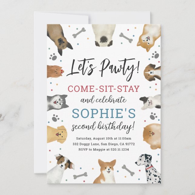 Invitation Chien Chiot Animaux de compagnie Pawty Anniversair (Devant)