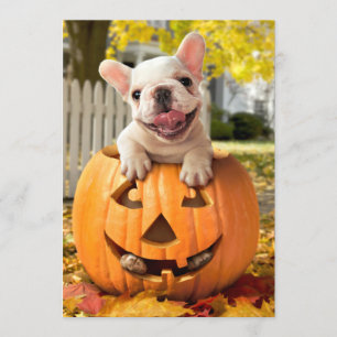Invitation Chien dans Jack-o-Lantern