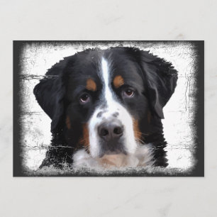 Invitation Chien de montagne de Bernese