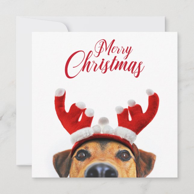 Invitation Chien de Noël Cute Drôle Reindeer Antler Headband (Devant)