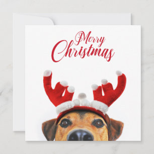 Invitation Chien de Noël Cute Drôle Reindeer Antler Headband