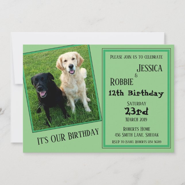 Invitation Chien jumeau de Labrador d'anniversaire (Devant)