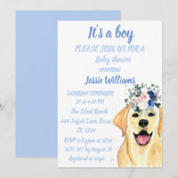 Chien mignon Chien chiot Labrador Fun Baby boy dou