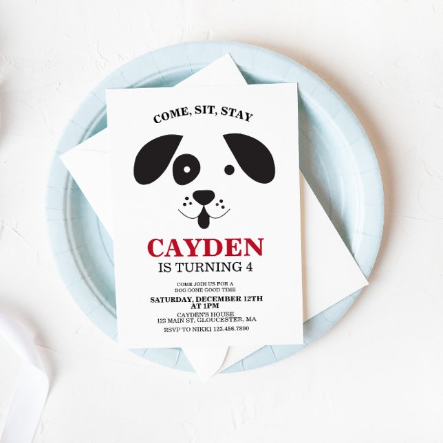Invitation Chien noir et blanc tache Anniversaire (Créateur téléchargé)