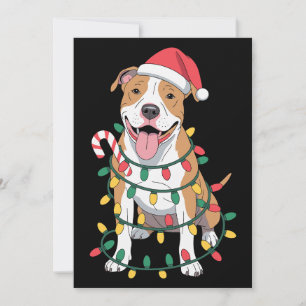 Invitation Chien Pitbull Noël Chapeau de Père Noël Lumières C