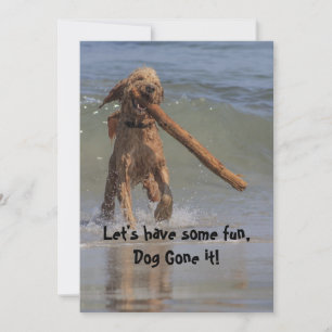 Invitation Chien sur la plage