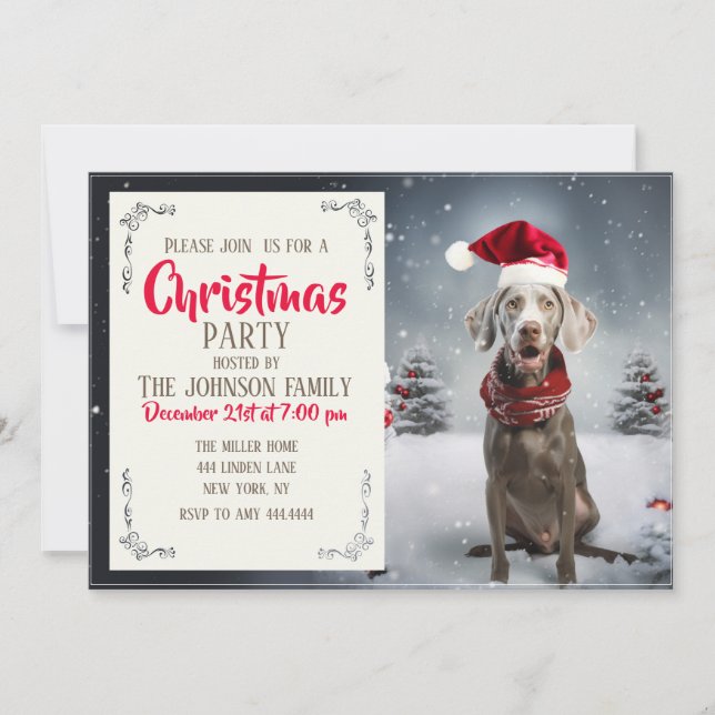 Invitation Chien Weimaraner de Noël (Devant)