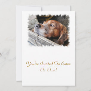 INVITATION CHIENS