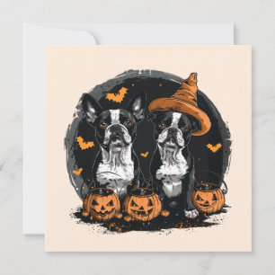 Invitation Chiens de Halloween Boston Terrier