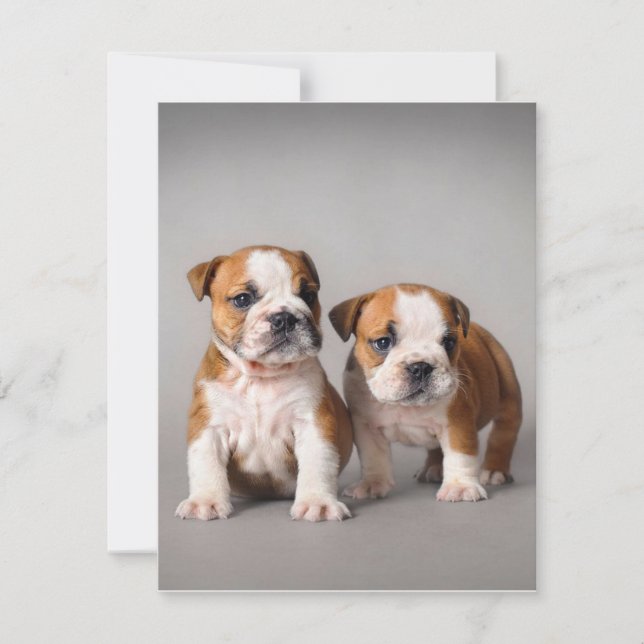 Invitation Chiens de taupe anglais | Couple mou Bulldog (Devant)