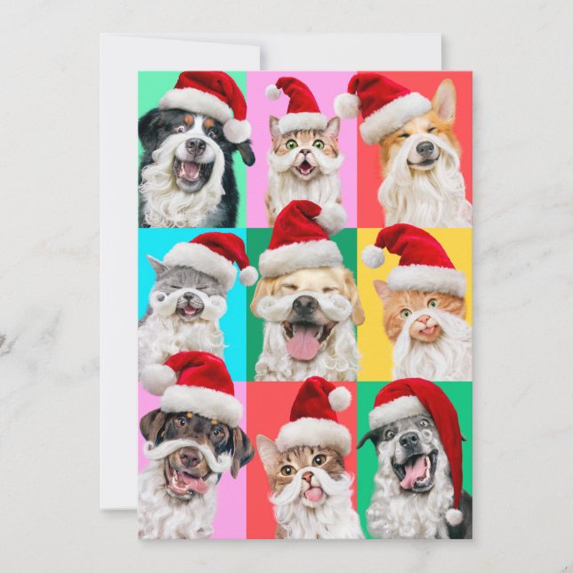 Invitation Chiens et chats avec la barbe du Père Noël (Devant)