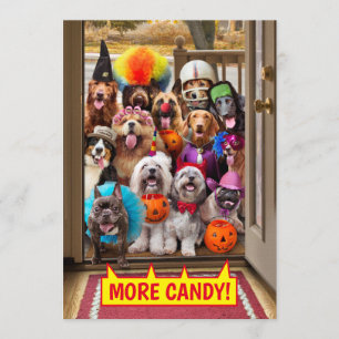 Invitation Chiens qui font Trick-or-Treating