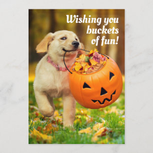 Invitation Chiot avec seau de citrouille