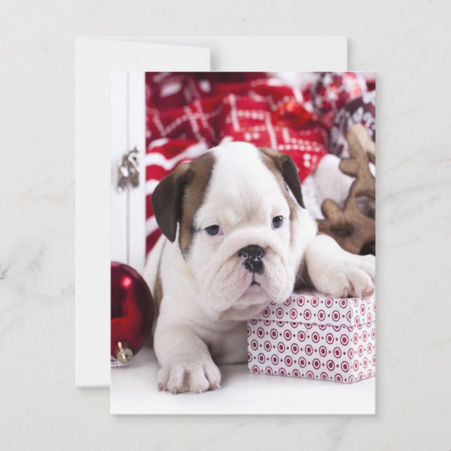 Invitation Chiot mignon Bouledogue Anglais | Noël drôle (Devant)
