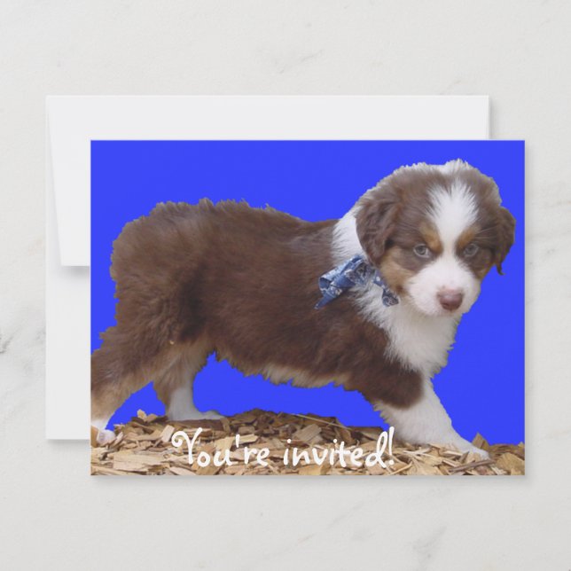 Invitation Chiot rouge Aussie Tri (Devant)