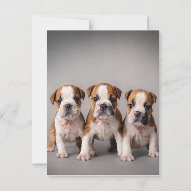 Invitation Chiots Bouledogues Mignons | Cadeau pour les Amate (Devant)