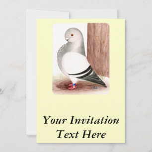 Invitation Chouette d'Afrique bleue Pigeon