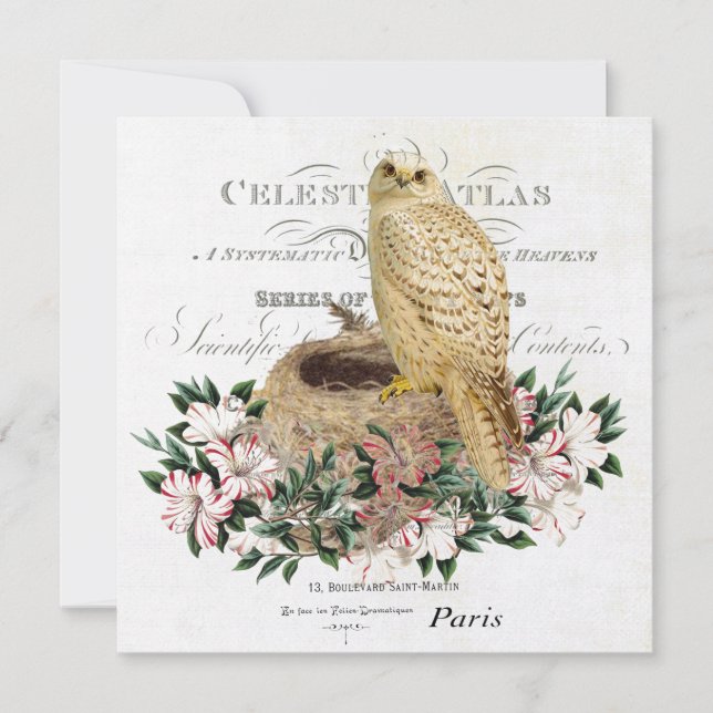 Invitation chouette d'hiver vintage (Devant)