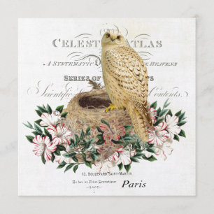 Invitation chouette d'hiver vintage