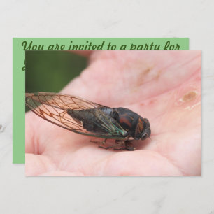 Invitation Cicada