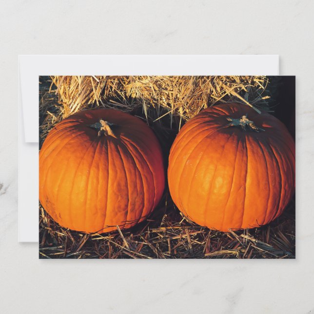 Invitation Citrouilles jumelles vintage (Devant)