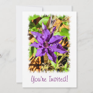 INVITATION CLEMATIS
