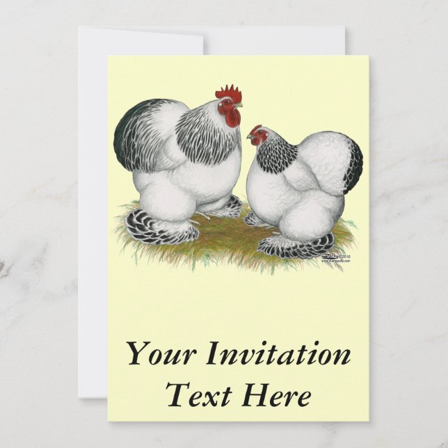 Invitation Cochins : Bantams colombiens (Devant)