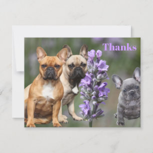 Invitation Cœur de Bouledogue français