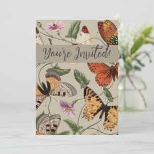 Invitation Collection de la papillon Moth Nature Dessin