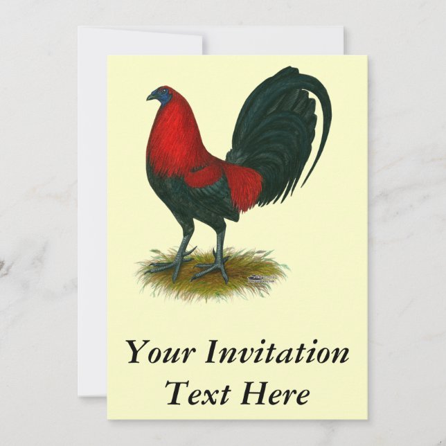 Invitation Coq américain : Brun Rouge (Devant)