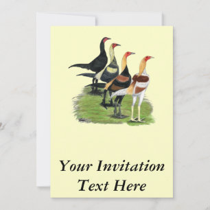 Invitation Coqs de Combat Moderne