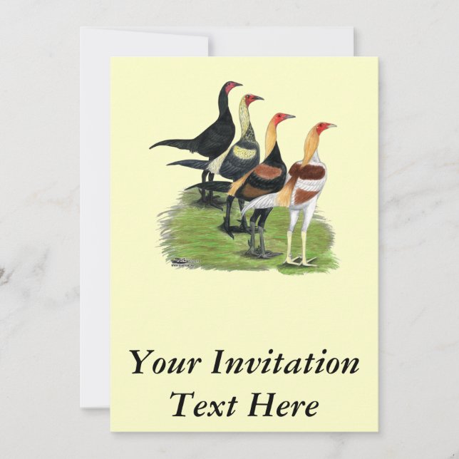Invitation Coqs de Combat Moderne (Devant)