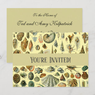Invitation Coquillages de coquillages Mollusk Clam Élégant Ar