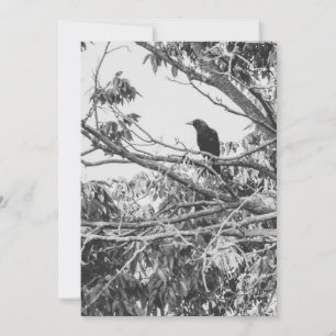 Invitation Corbeau gothique