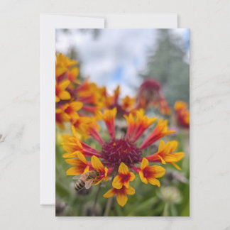 Invitation Couverture indienne et langue d'abeille